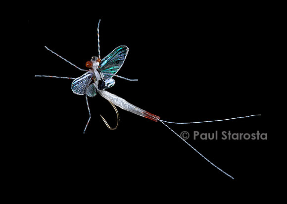 Mouche de pêche - éphémère