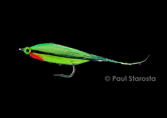 Mouche de pêche - poisson