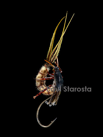 Mouche de pêche - larve d'insecte aquatique