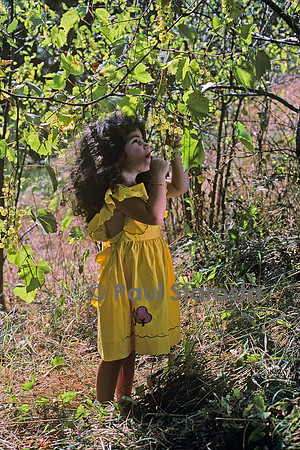 3 ans - le raisin