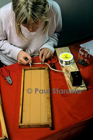 Fixation d'une feuille de cire gaufrée sur un cadre