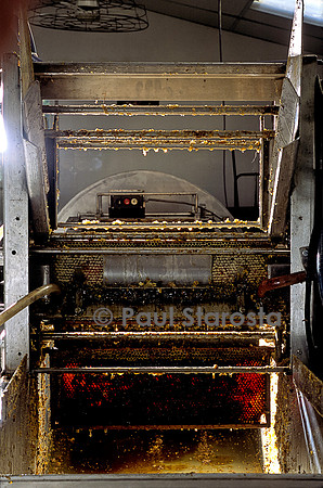 Machine à désoperculer d'une grosse exploitation
