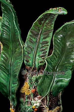 Vase de scolopendres poussant sur un monticule de pierres colorées