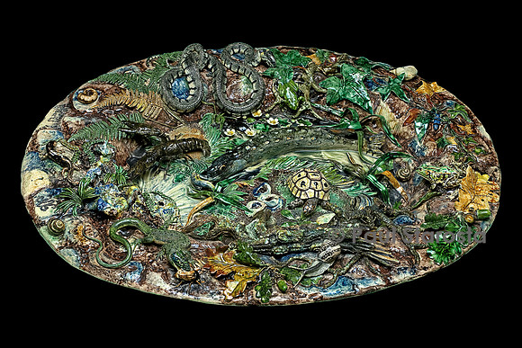 Très grand bassin avec brochet, tortue jaune, salamandre, escargots, couleuvre, grenouille verte