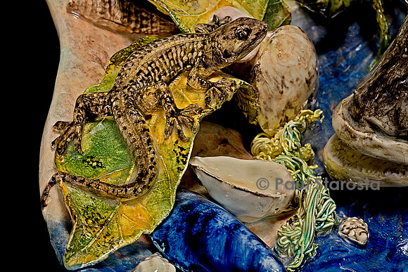 Le ruisseau - Christine Viennet (gecko)