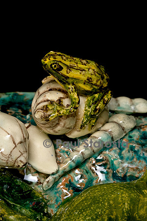 Bassin papillons. 2003. Christine Viennet