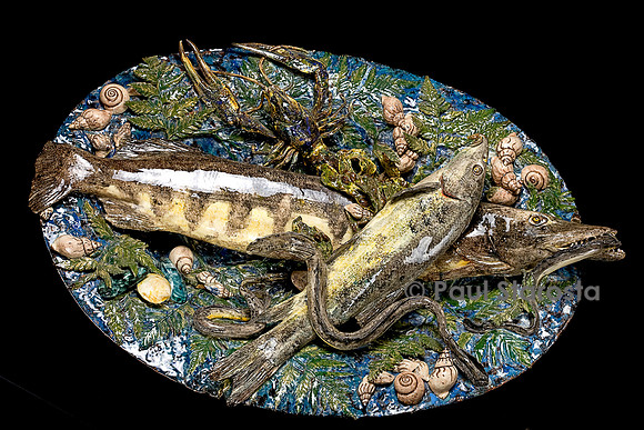 Grand bassin brochets et poissons d’eau douce. Christine Viennet