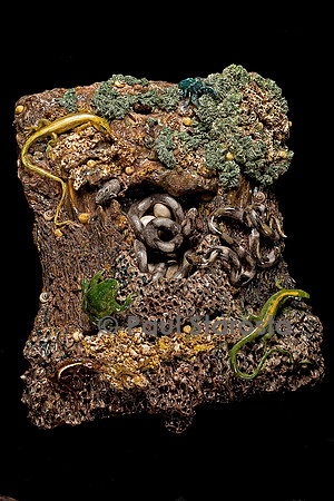Rocher nid de serpents .Christine Viennet