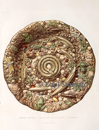 Planche, Bassin à reptile