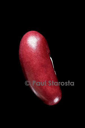 Phaseolus vulgaris (haricot) Flageolet rouge