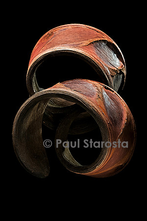 Pentaclethra macrophylla (arbre à semelles, bois jaune du Gabon) - fruit
