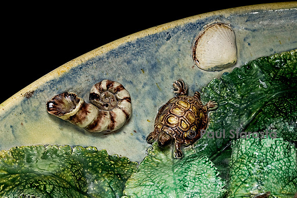 Grand plat rustique de poissons, écrevisse, entourés d’une petite couleuvre