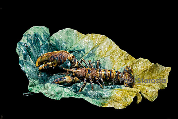 Très grande feuille vert bleuté et jaune en terre cuite glaçure plombifère avec homard