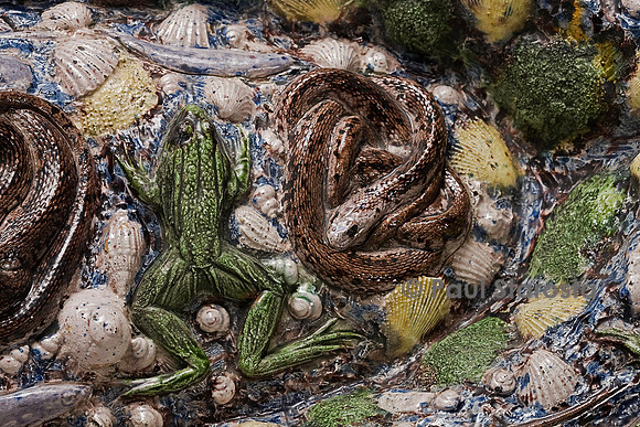 Grand bassin rustique en forme de nacelle. Bernard Palissy