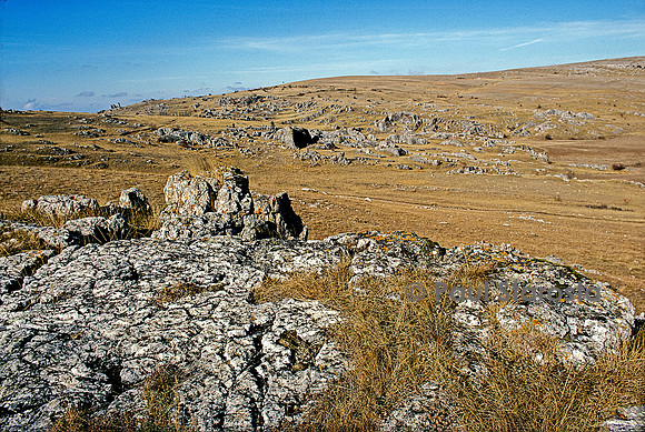 Causse Méjean