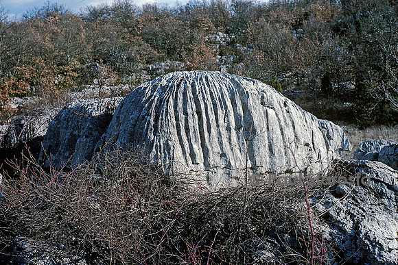 Lapiaz, Bois de Païolive, Ardèche, France
