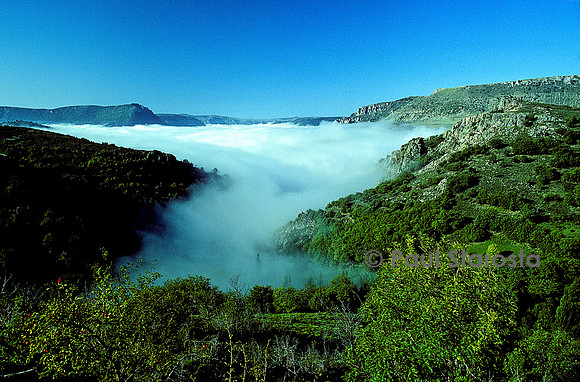 Brume de vallée en Cévennes