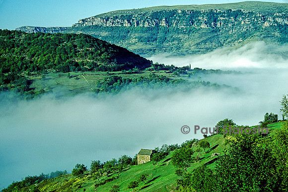 Brume de vallée en Cévennes