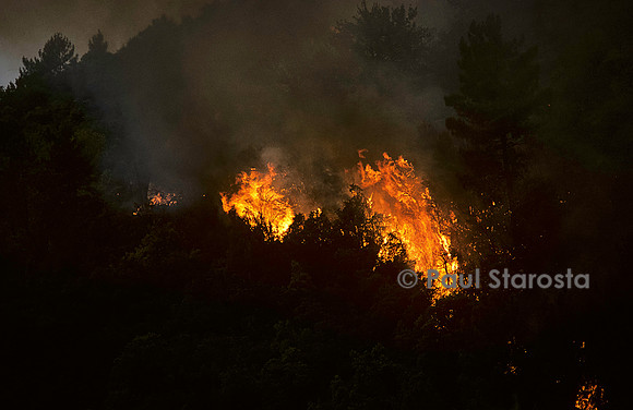 Incendie de forêt