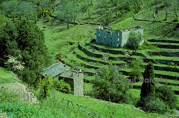 Paysage des Cévennes