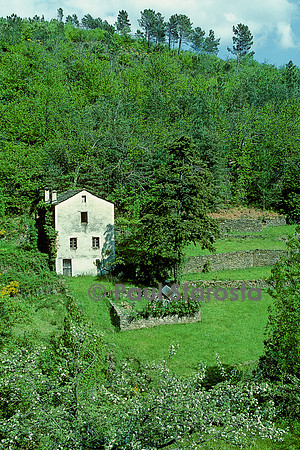 Paysage des Cévennes