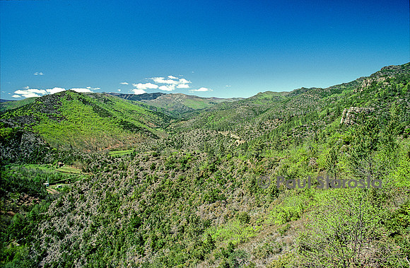 Paysage des Cévennes - La vallée Borgne
