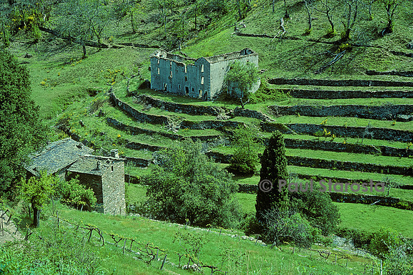 Paysage des Cévennes