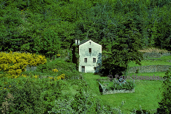 Paysage des Cévennes