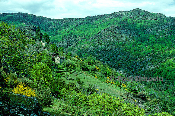 Paysage des Cévennes