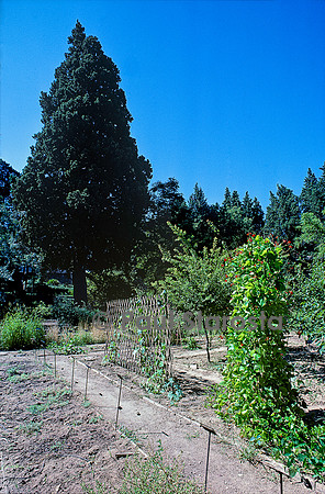 Jardin des plantes de Montpellier - École de botanique