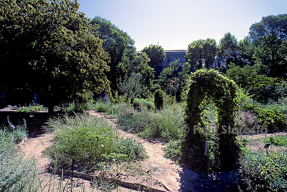 Jardin des plantes de Montpellier - École de botanique