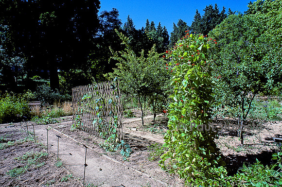 Jardin des plantes de Montpellier - École de botanique