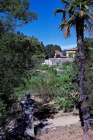 Jardin des plantes de Montpellier - École de botanique et orangerie