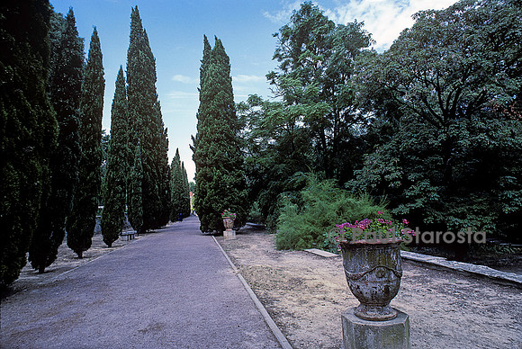 Jardin des plantes de Montpellier - allée des cyprès (allée toscane)
