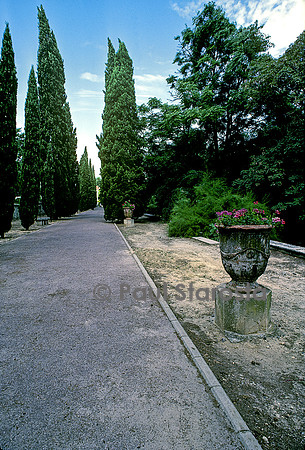 Jardin des plantes de Montpellier - allée des cyprès (allée toscane)