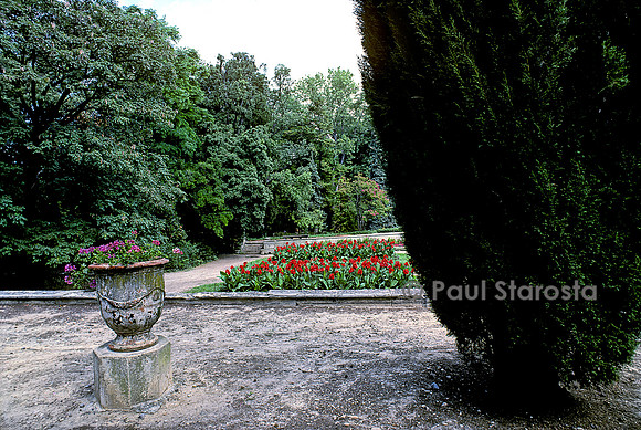 Jardin des plantes de Montpellier - Cannas en fleur