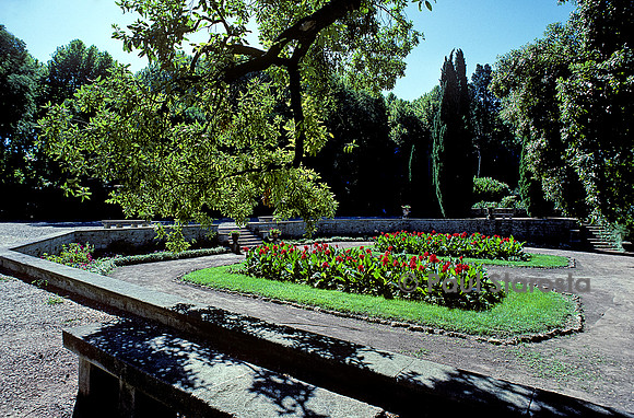 Jardin des plantes de Montpellier - Cannas en fleur