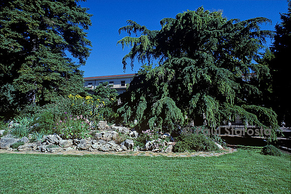 Jardin des plantes de Montpellier - rocaille