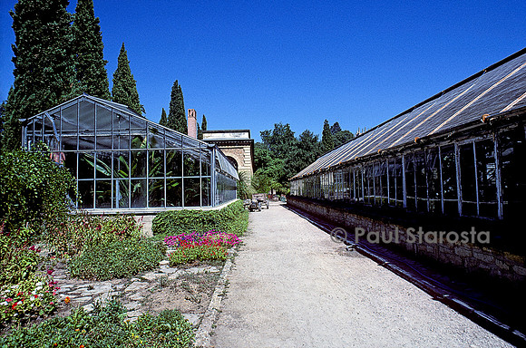 Jardin des plantes de Montpellier - serres