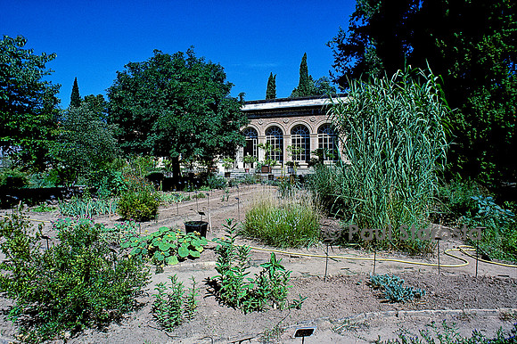Jardin des plantes de Montpellier - École de botanique et orangerie