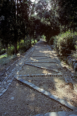 Les Jardins de la Fontaine à Nîmes - un sentier