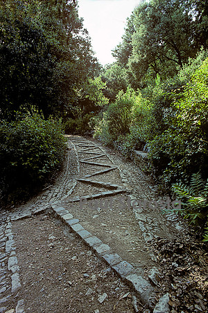 Les Jardins de la Fontaine à Nîmes - un sentier
