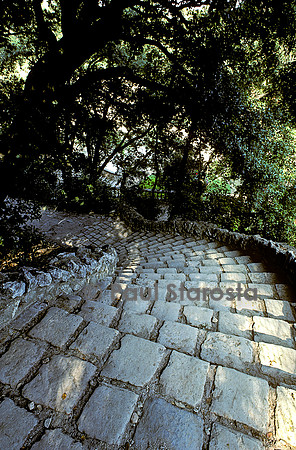 Les Jardins de la Fontaine à Nîmes - un sentier