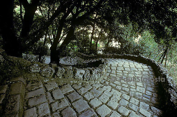 Les Jardins de la Fontaine à Nîmes - un sentier