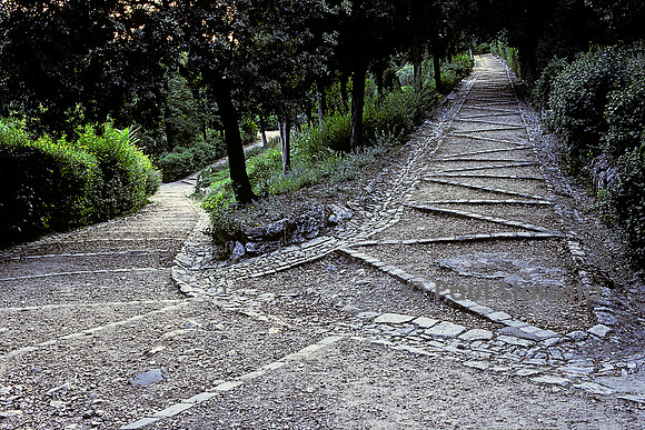 Les Jardins de la Fontaine à Nîmes - un sentier