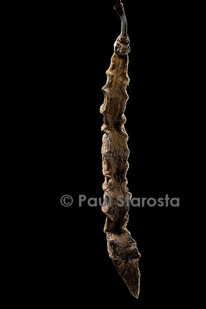 Mucuna flagellipes (koso) - fruit