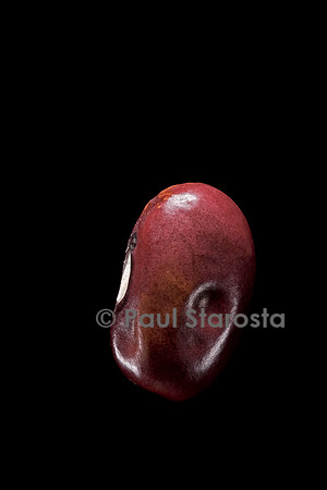 Phaseolus vulgaris (haricot) Montezuma rouge, Vigna rouge