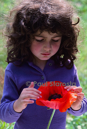 5 ans - le pavot