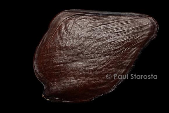 Pentaclethra macrophylla (arbre à semelles, bois jaune du Gabon)