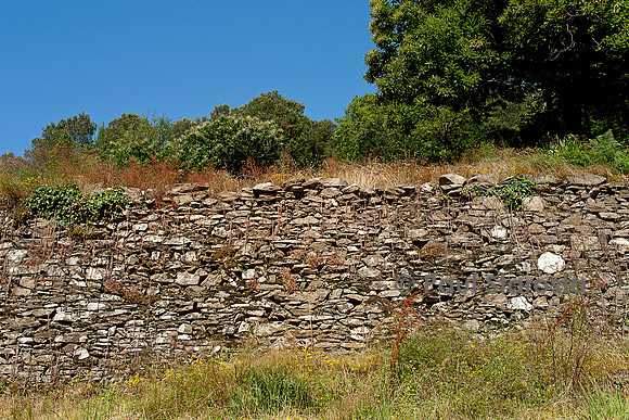 Mur en pierres sèches en Cévennes